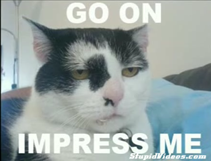 LOL Cats + The Cure = Awesome